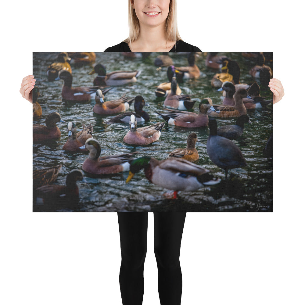 Ducks on the Lake, Photography, Canvas Print, High Quality Image, For Home Decor & Interior Design