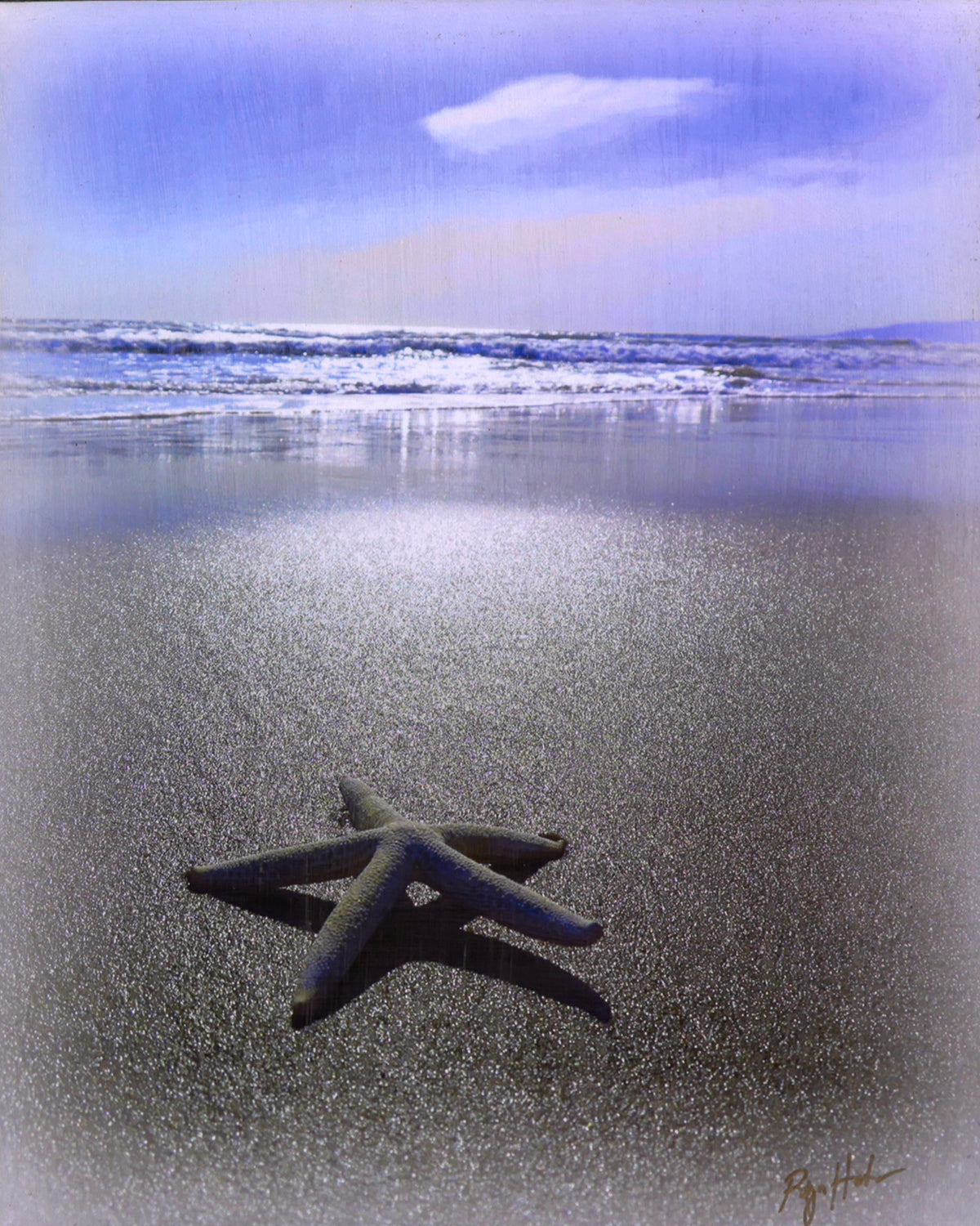 "Seastar by the Shore", 16"w x 20"h Print Mounted on Board, Hand-Embellished