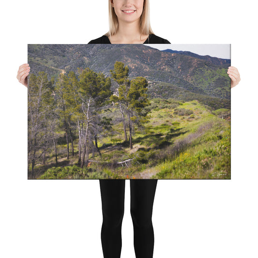Trees by the Hillside, Photography, Canvas Print, High Quality Image, For Home Decor & Interior Design