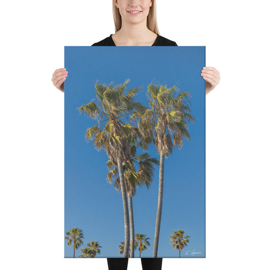 Palm Trees by the Beach, Blue Sky, Photography, Canvas Print, High Quality Image, For Home Decor & Interior Design
