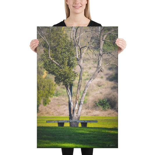 Shaded Bench in the Park, Photography, Canvas Print, High Quality Image, For Home Decor & Interior Design