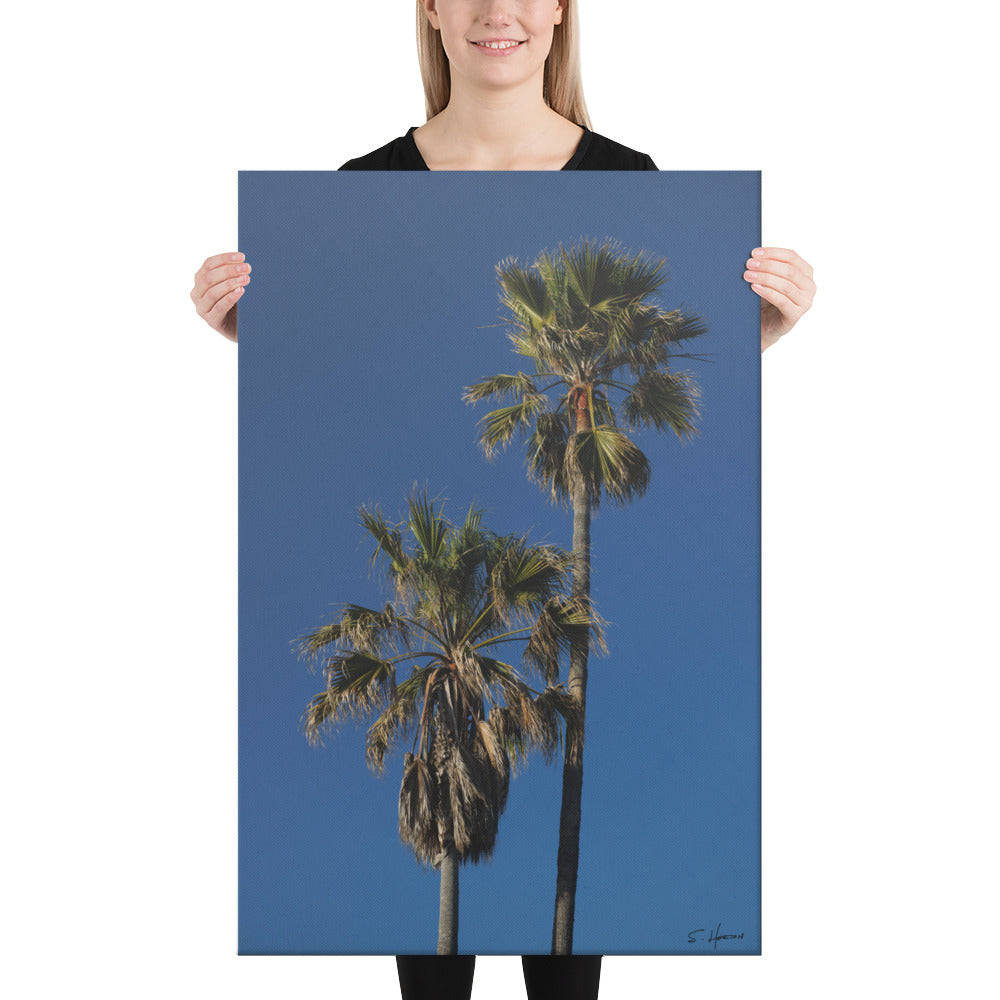 Palm Trees Against A Blue Sky, Photography, Canvas Print, High Quality Image, For Home Decor & Interior Design