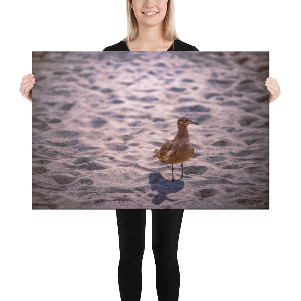 Seagull at the Beach, Photography, Canvas Print, High Quality Image, For Home Decor & Interior Design