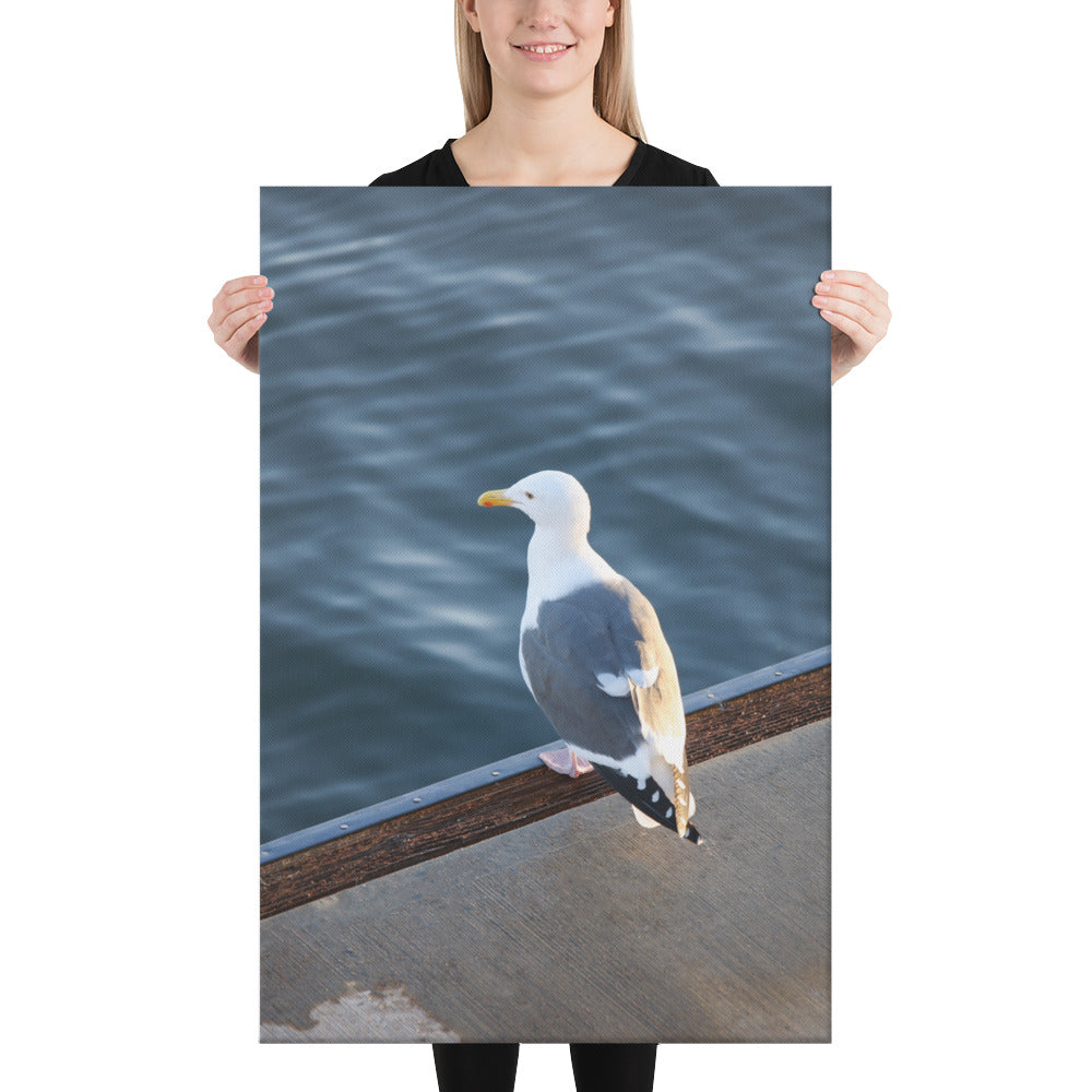 Seagull on the Dock at the Marina, Photography, Canvas Print, High Quality Image, For Home Decor & Interior Design