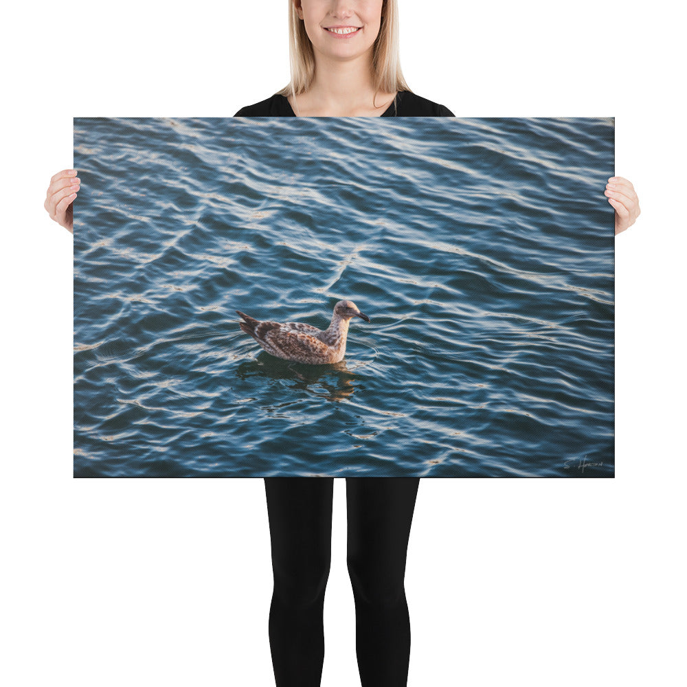 Seagull on the Water at the Marina, Photography, Canvas Print, High Quality Image, For Home Decor & Interior Design