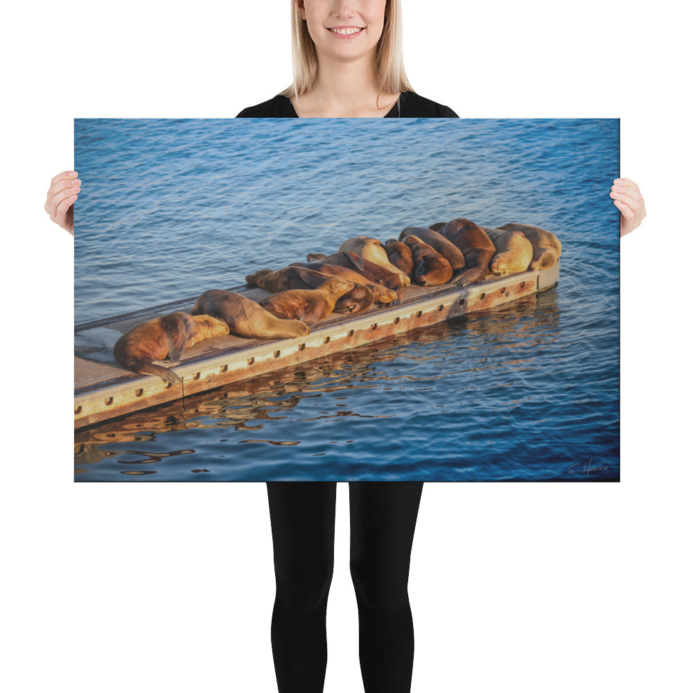 Sea Lions Sleeping on the Dock at the Marina, Photography, Canvas Print, High Quality Image, For Home Decor & Interior Design