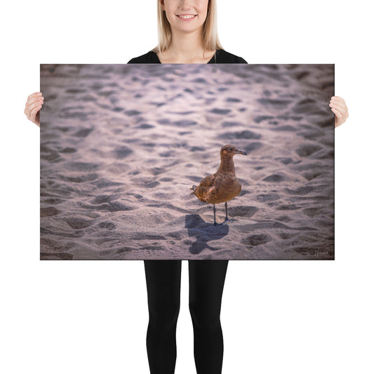 Seagull on the Beach, Photography, Canvas Print, High Quality Image, For Home Decor & Interior Design