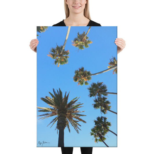 Palm Trees Against A Blue Sky, Photography, Canvas Print, High Quality Image, For Home Decor & Interior Design