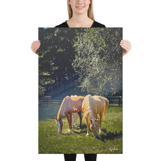 Horses Grazing In The Field At Sunrise, Scenic, Photography, Canvas Print, High Quality Image, For Home Decor & Interior Design