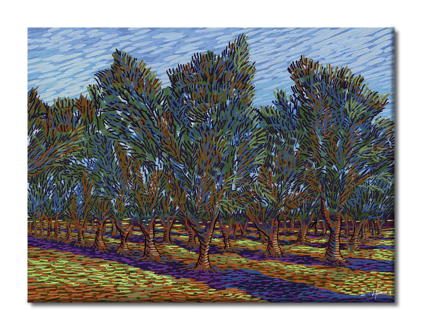 "Olive Tree Orchard", Digital Art, Giclee on Canvas with Signature, High Quality Image, 30"x40", Limited Edition of 50