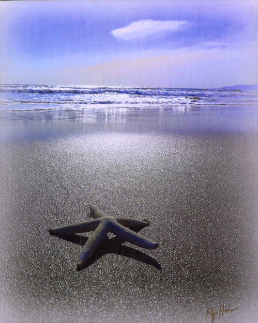 "Seastar by the Shore", 16"w x 20"h Print Mounted on Board, Hand-Embellished